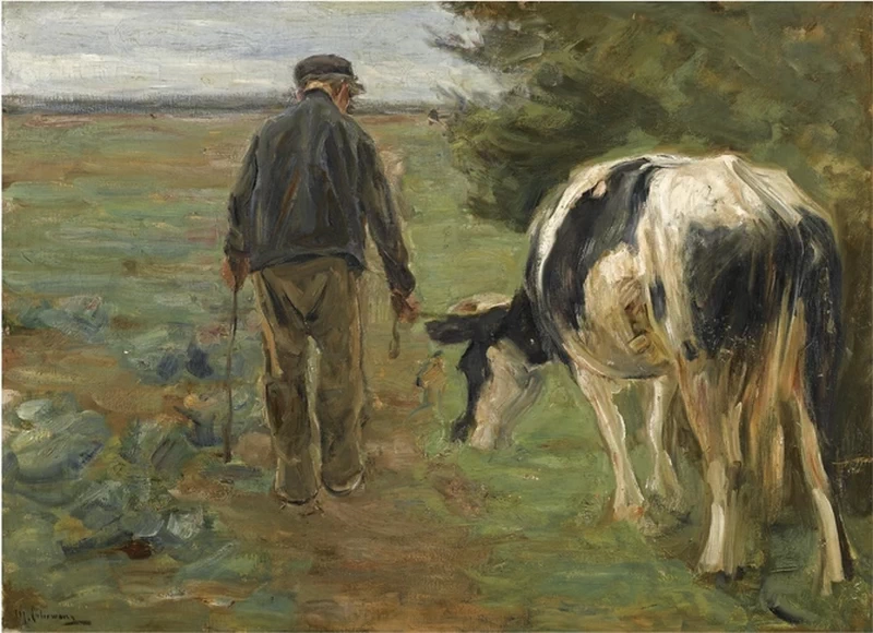 Contadino e mucca